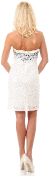 Strapless Colored Sequins Short Formal Party Prom Dress back