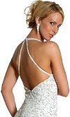 Silver Sparkled Full Length Formal Dress back