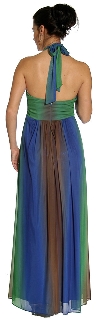 Multi Colored Halter Neck Formal Evening Dress  back