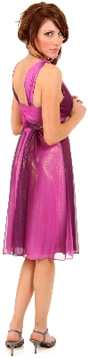 Two Tone V-Neck Shimmery Party Dress back