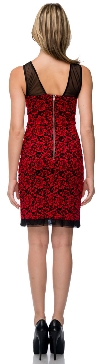 Floral Lace Short Party Dress with Mesh Trim back