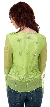 Full Sleeves Sheer Top with Silver Petal Sequins back