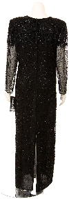 Full Length V-neck Sheer Sleeve Formal Gown back