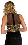 Bustier Transparent Full Length Gown back