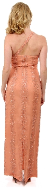 Single Shouldered Silk Chiffon Prom Dress back