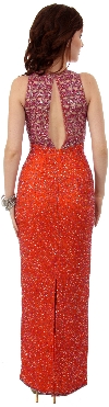 Sleeveless Formal Evening Dress with Exquisite Mesh design back