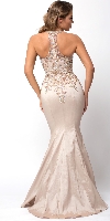 Embellished Bodice Round Neck Fit-n-Flare Long Prom Dress back