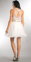 Floral Lace Bodice Short Tulle Homecoming Dress back