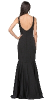 Deep V-Neck Drop Waist Long Formal Evening Dress back