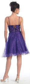 Sequin Bodice Crystal Mesh Skirt Short Party Dress back