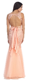 Lace Bodice Mermaid Mesh Skirt Long Formal Prom Dress back