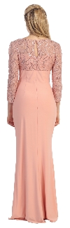 Bateau Neck Sequins Bodice Long Formal MOB Dress back