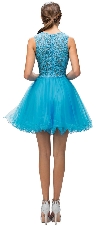Embroidered Lace Top Baby Doll Short Homecoming Party Dress back