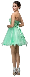 Strapless Lace Bodice Tulle Short Homecoming Party Dress back in Mint