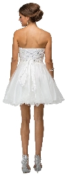 Strapless Lace Bodice Tulle Short Homecoming Party Dress back