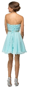 Strapless Lace Bust Short Homecoming Party Dress back