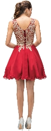Sleeveless Embroidered Bodice Short Homecoming Party Dress back
