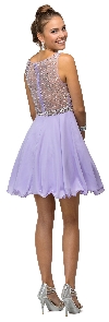 Sparkling Jewels Bodice Short Homecoming Party Dress back