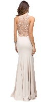 Rhinestones Mesh Neck & Back Long Formal Prom Dress back in Champaign