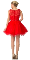 Beaded Lace Bust Mesh Babydoll Skirt Short Dress back
