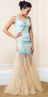 Main image of Exquisite Floral Lace Tulle Skirt Long Prom Pageant Dress