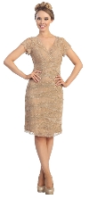 V-Neck Short Sleeves Short Formal Party Dress in Lace in Taupe