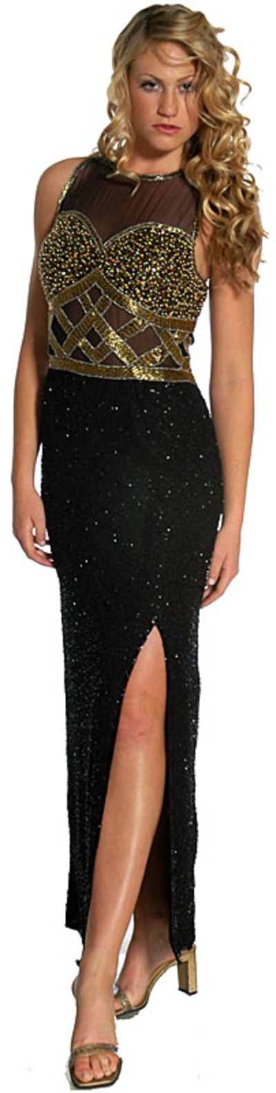 Bustier Transparent Full Length Gown