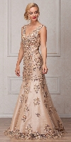 V-Neck Floral Embellishments Mesh Long Prom Pageant Dress in Champaign