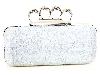 Main image of Metal Frame Elegant Evening Bag in Silver
