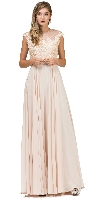 Embroidered Mesh Bodice Long Chiffon Prom Formal Dress in Champaign