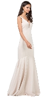 Deep V-Neck Drop Waist Long Formal Evening Dress in Champaign