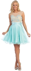Floral Pattern Bodice Short Tulle Party Prom Dress in Mint
