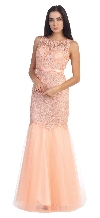 Lace Bodice Mermaid Mesh Skirt Long Formal Prom Dress in Peach