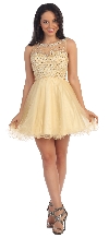 Bejeweled Bust Short Babydoll Homecoming Party Dress in Champaign