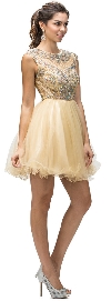 Bejeweled Mesh Bodice Cap Sleeves Short Baby Doll Dress in Champaign