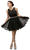 Lace Top Tulle Skirt Short Homecoming Party Dress in Black