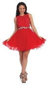 Lace Top Tulle Skirt Short Homecoming Party Dress in Red