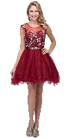 Floral Embroidery Mesh Top Short Tulle Homecoming Dress in Burgundy